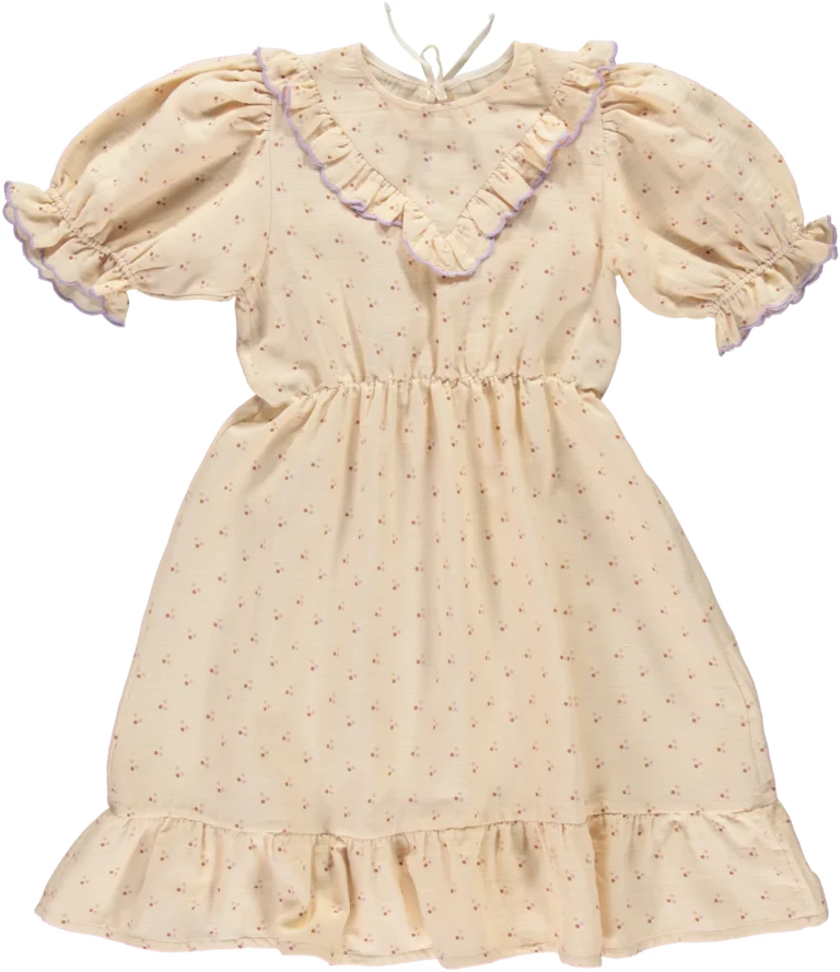 LIILU Beige & Purple Dress - 2 years