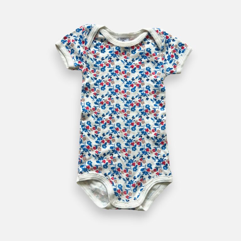 PETIT BATEAU Blue & Red Bodysuit - 12 months