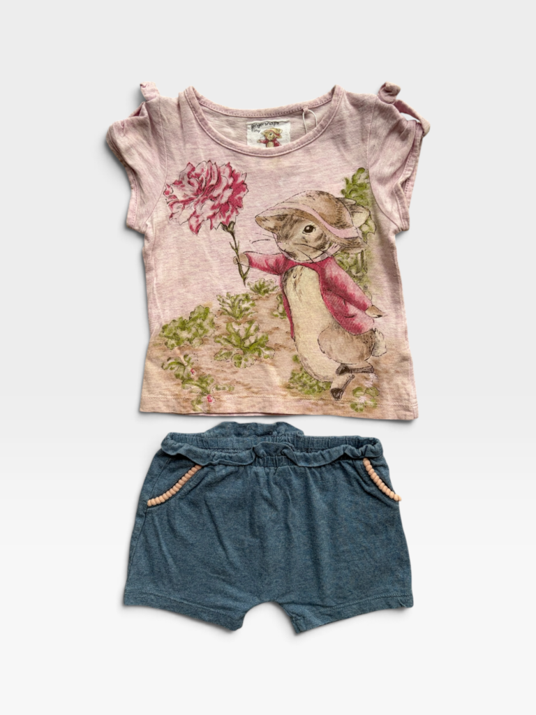 GINGERSNAPS Pink & Blue Set - 12 months/18 months